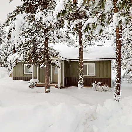 Black Dog Cabin